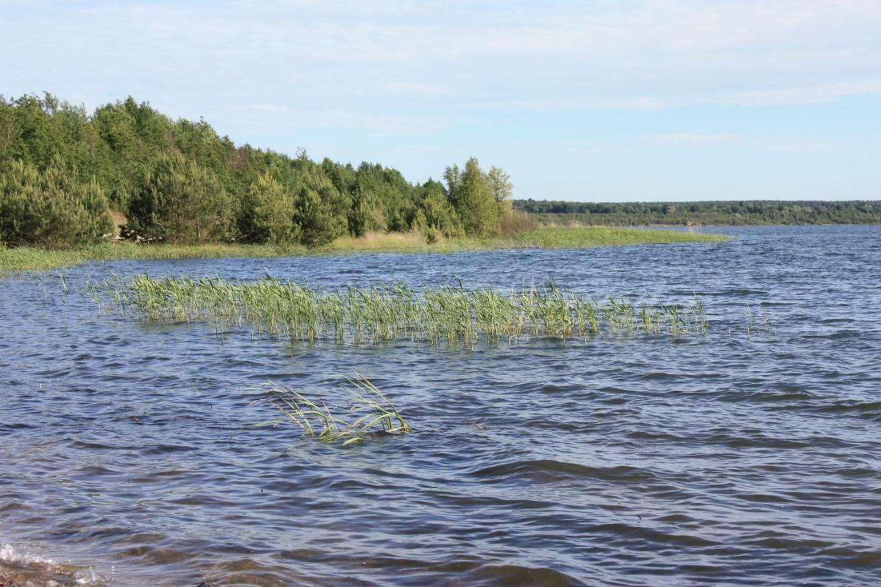 Ferienwohnungen Heideblick Grafenhainichen Kültér fotó